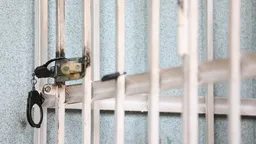 ФСБ сообщила о задержании жителя Петербурга по делу о фотосъемке и установке видеокамеры по заданию украинской разведки